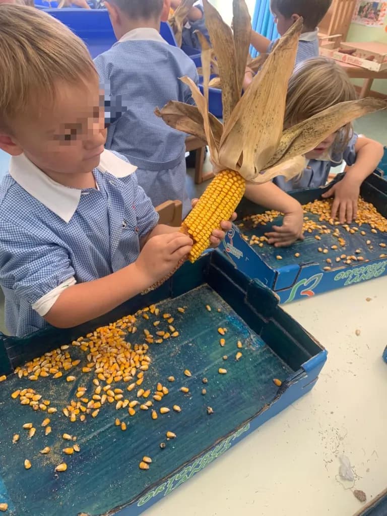 Scuola dell'infanzia